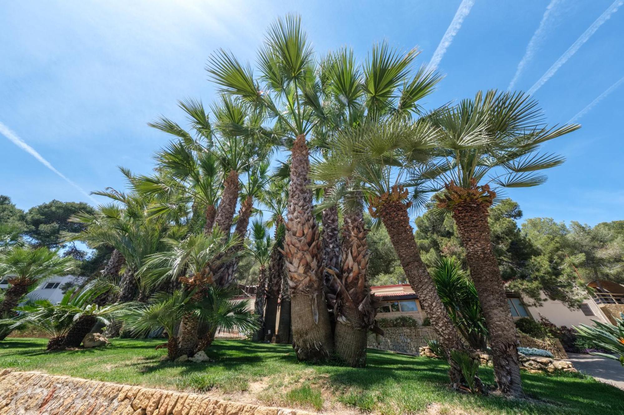 Camping Estival Torre De La Mora Tamarit Kültér fotó